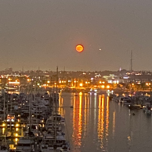 Meet your Posher, Randall - Picture 8 of 8